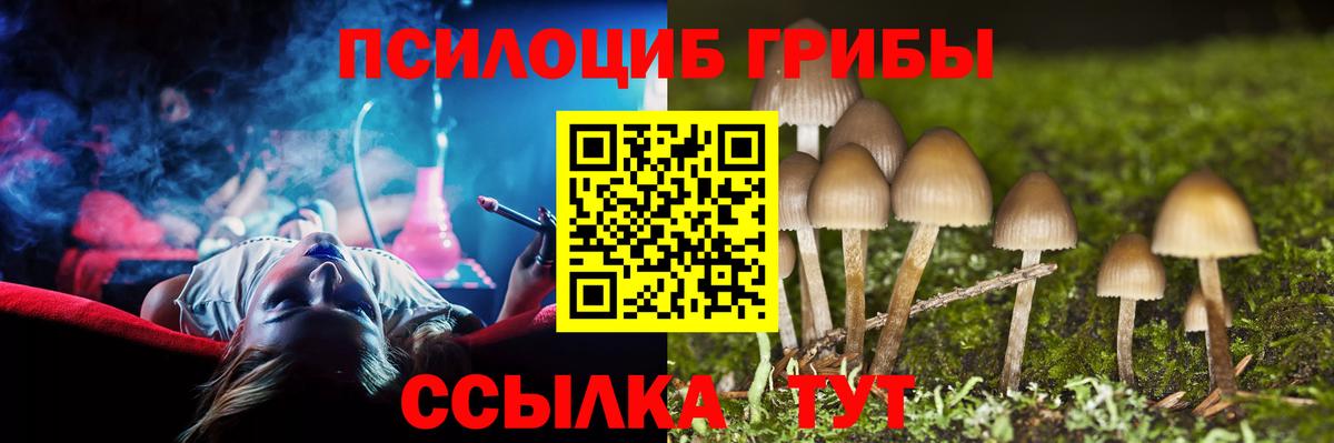 Псилоцибиновые грибы Cubensis  Вход с VPN  Шебекино 